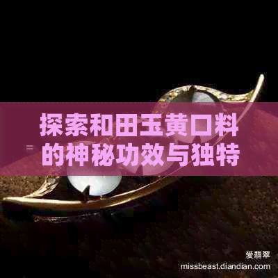 探索和田玉黄口料的神秘功效与独特作用：一段不寻常的玉石故事