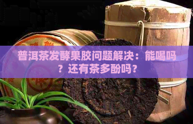 普洱茶发酵果胶问题解决：能喝吗？还有茶多酚吗？