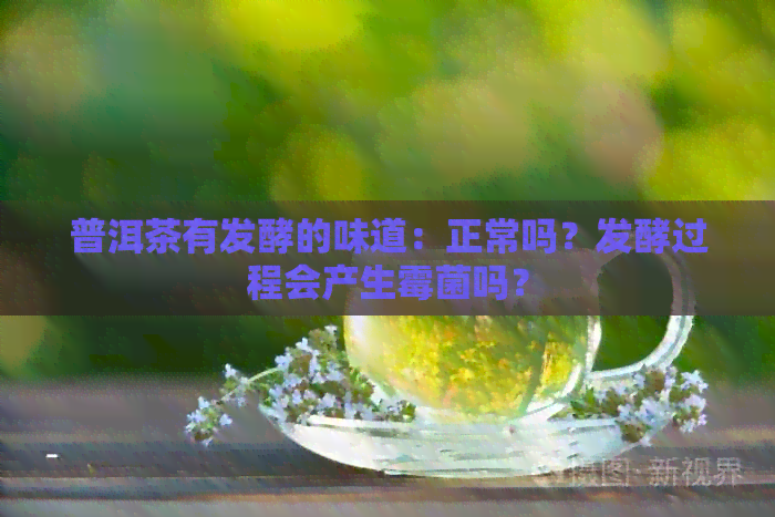 普洱茶有发酵的味道：正常吗？发酵过程会产生霉菌吗？