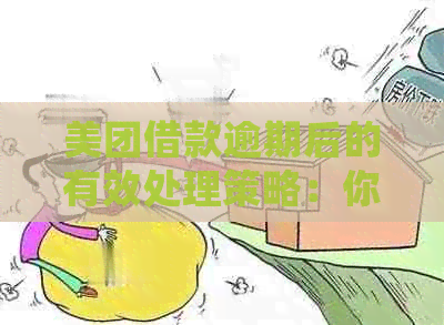 美团借款逾期后的有效处理策略：你不可不知的解决步骤