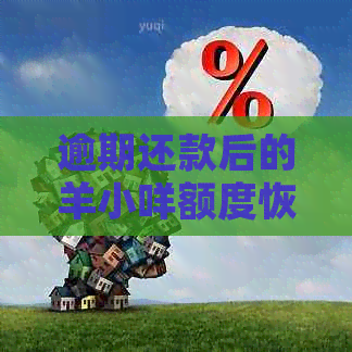 逾期还款后的羊小咩额度恢复策略与可能性探讨