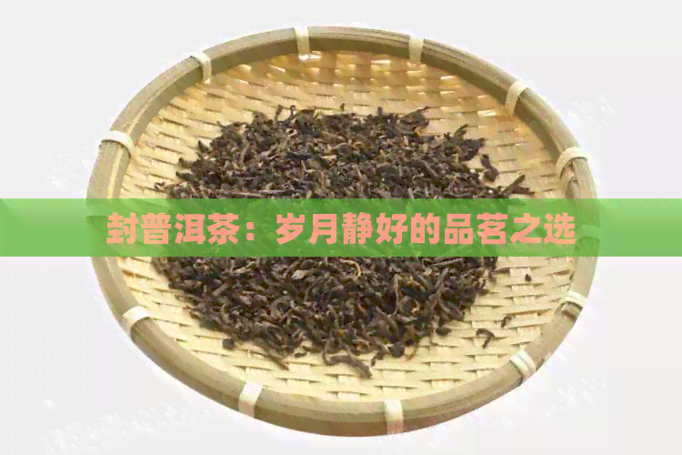 封普洱茶：岁月静好的品茗之选