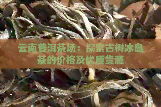 云南普洱茶场：探索古树冰岛茶的价格及优质货源