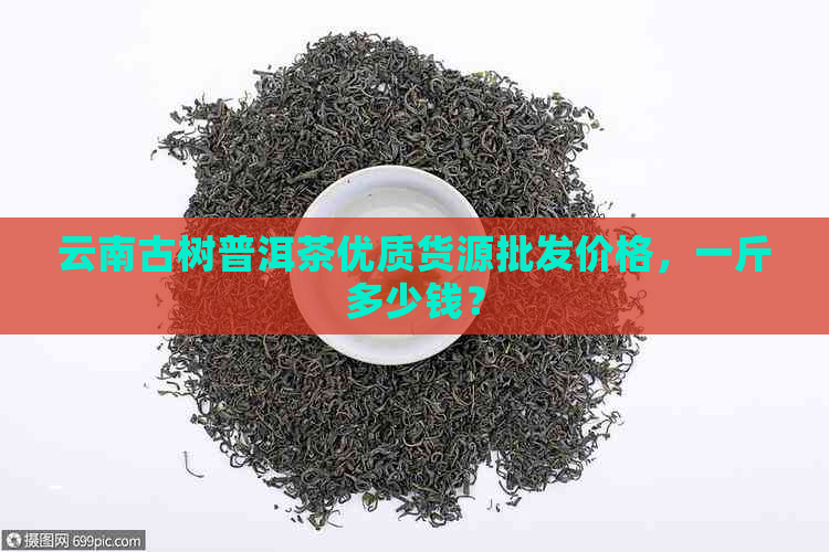 云南古树普洱茶优质货源批发价格，一斤多少钱？