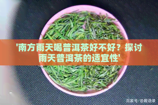 '南方雨天喝普洱茶好不好？探讨雨天普洱茶的适宜性'