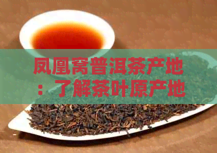 凤凰窝普洱茶产地：了解茶叶原产地与品质的关键因素