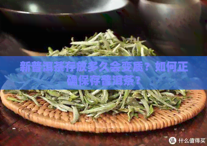 新普洱茶存放多久会变质？如何正确保存普洱茶？