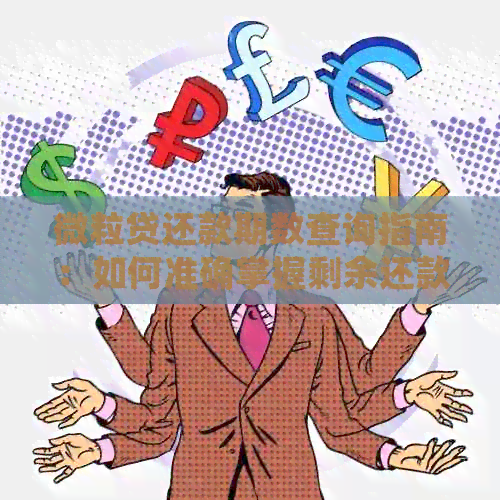 微粒贷还款期数查询指南：如何准确掌握剩余还款期数与本金金额