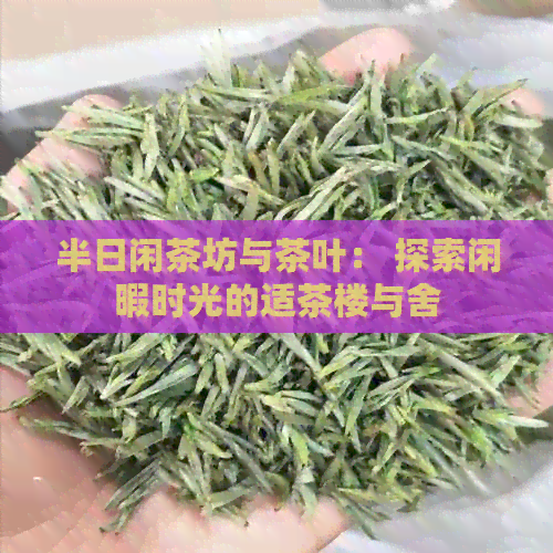 半日闲茶坊与茶叶： 探索闲暇时光的适茶楼与舍