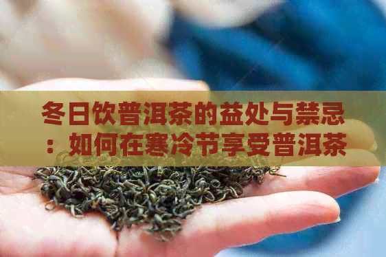 冬日饮普洱茶的益处与禁忌：如何在寒冷节享受普洱茶的健与美味