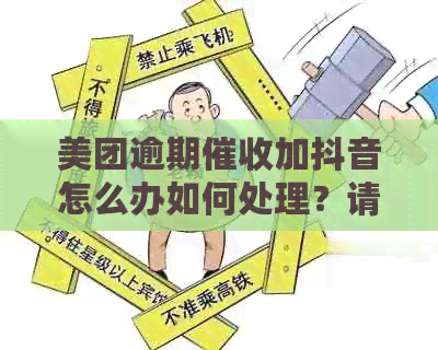 美团逾期加抖音怎么办如何处理？请提供相关建议。