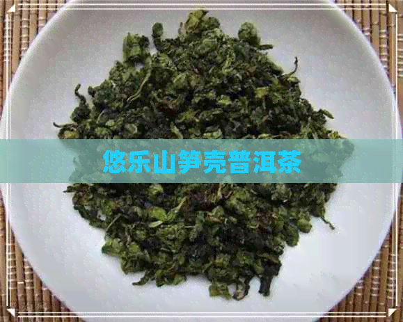 悠乐山笋壳普洱茶