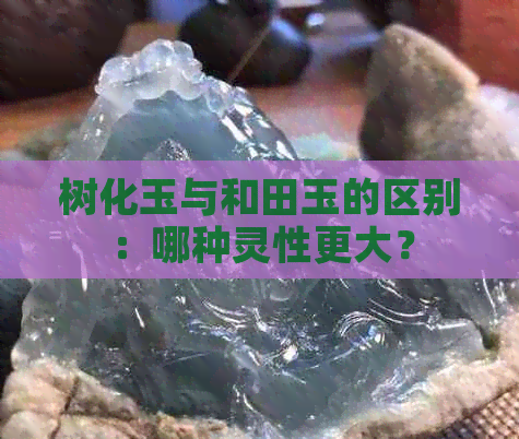 树化玉与和田玉的区别：哪种灵性更大？