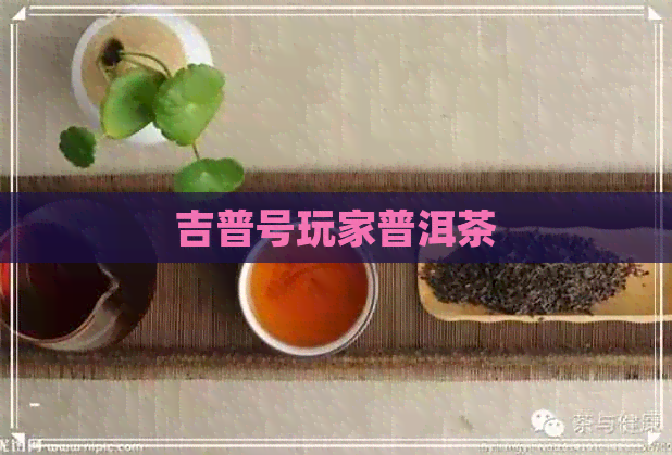 吉普号玩家普洱茶