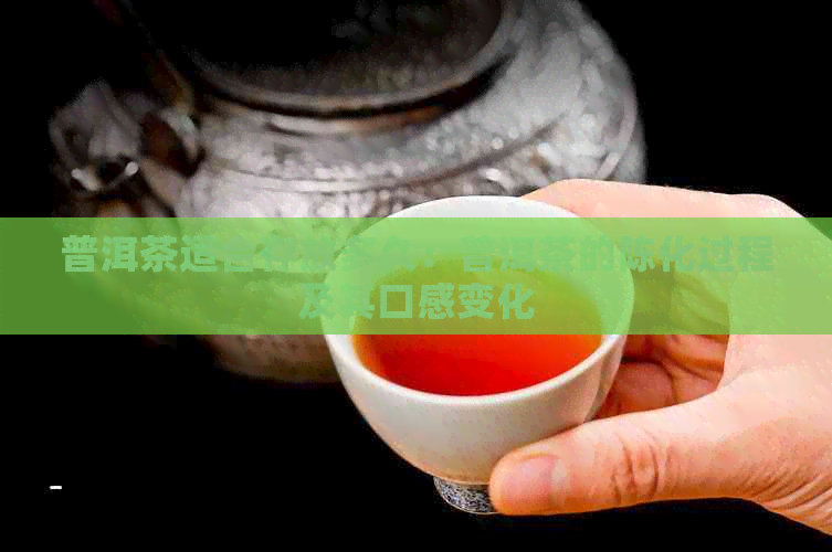 普洱茶适合存放多久：普洱茶的陈化过程及其口感变化