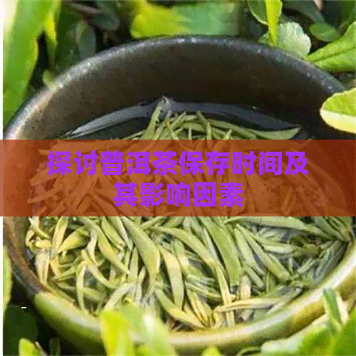 探讨普洱茶保存时间及其影响因素