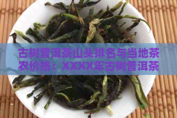 古树普洱茶山头排名与当地茶农价格：XXXX年古树普洱茶叶精选指南