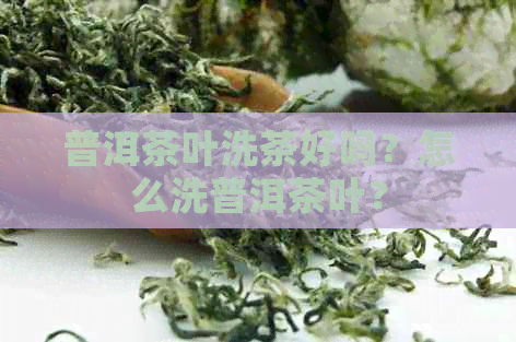 普洱茶叶洗茶好吗？怎么洗普洱茶叶？