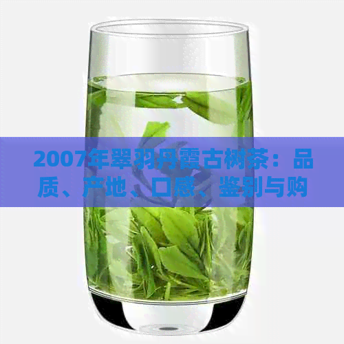 2007年翠羽丹霞古树茶：品质、产地、口感、鉴别与购买攻略全方位解析