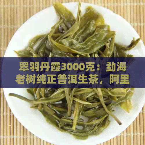 翠羽丹霞3000克：勐海老树纯正普洱生茶，阿里茶叶批发价