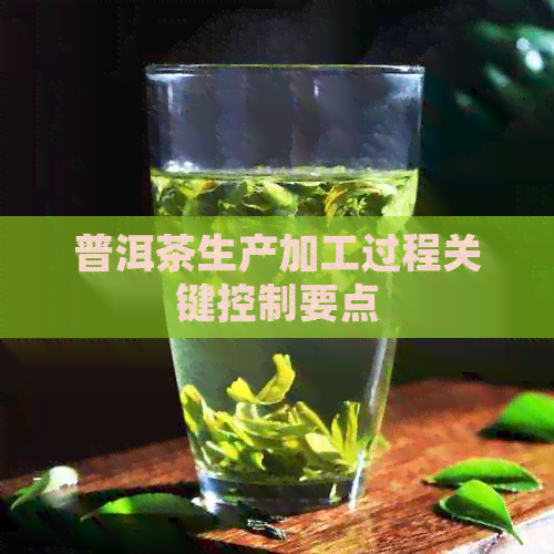 普洱茶生产加工过程关键控制要点