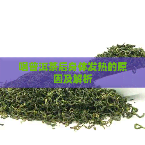 喝普洱茶后身体发热的原因及解析