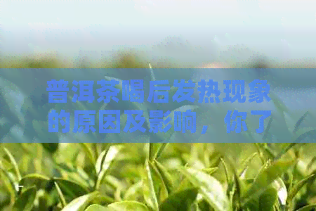 普洱茶喝后发热现象的原因及影响，你了解吗？