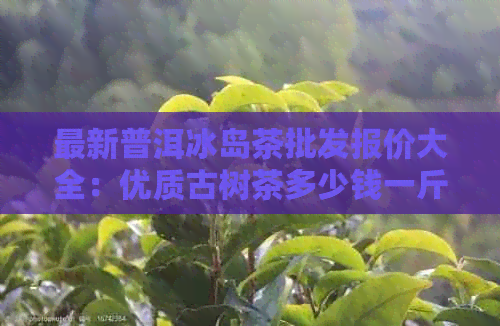 最新普洱冰岛茶批发报价大全：优质古树茶多少钱一斤？