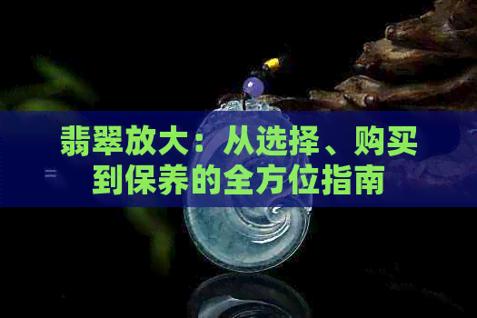 翡翠放大：从选择、购买到保养的全方位指南