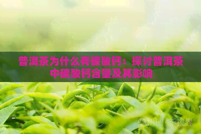 普洱茶为什么有碳酸钙：探讨普洱茶中碳酸钙含量及其影响