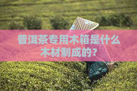 普洱茶专用木箱是什么木材制成的？