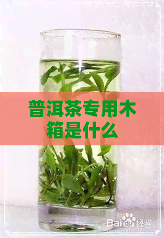 普洱茶专用木箱是什么