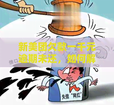 新美团欠款一千元逾期未还，如何解决相关问题和流程？