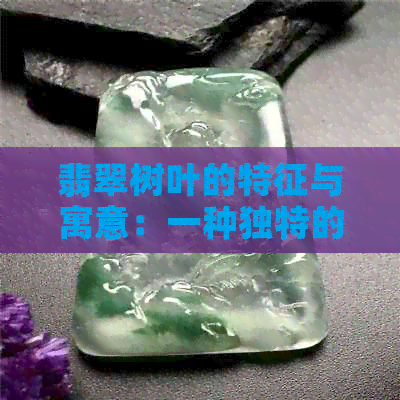 翡翠树叶的特征与寓意：一种独特的叶子魅力解析