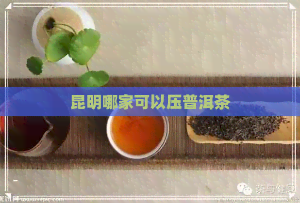 昆明哪家可以压普洱茶