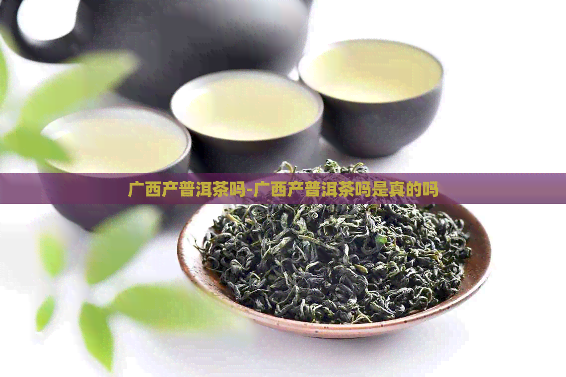 广西产普洱茶吗-广西产普洱茶吗是真的吗