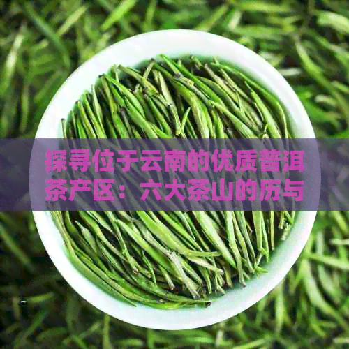 探寻位于云南的优质普洱茶产区：六大茶山的历与文化