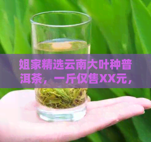 姐家精选云南大叶种普洱茶，一斤仅售XX元，品尝古树熟茶的醇厚滋味