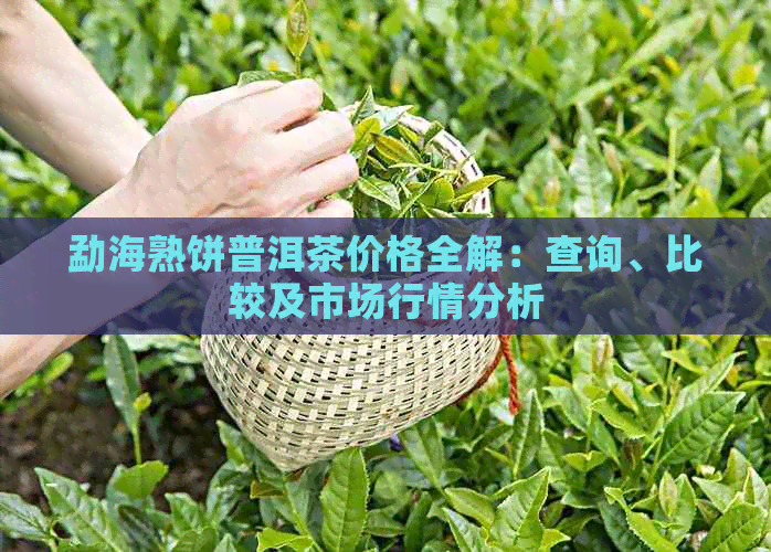 勐海熟饼普洱茶价格全解：查询、比较及市场行情分析