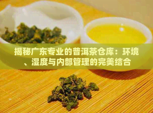 揭秘广东专业的普洱茶仓库：环境、湿度与内部管理的完美结合