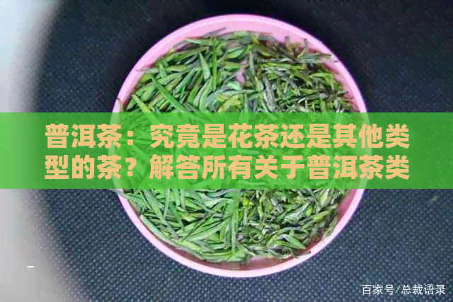 普洱茶：究竟是花茶还是其他类型的茶？解答所有关于普洱茶类型的疑问