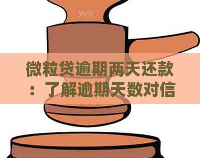 微粒贷逾期两天还款：了解逾期天数对信用的影响与解决办法