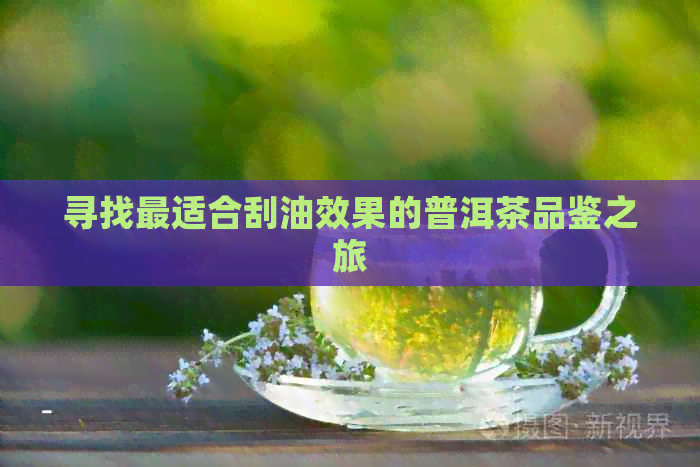 寻找最适合刮油效果的普洱茶品鉴之旅