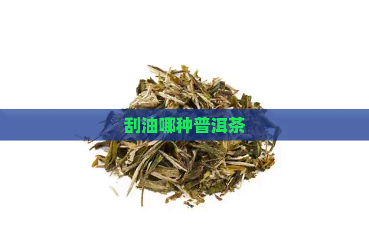 刮油哪种普洱茶