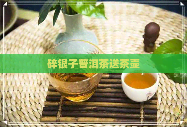 碎银子普洱茶送茶壶