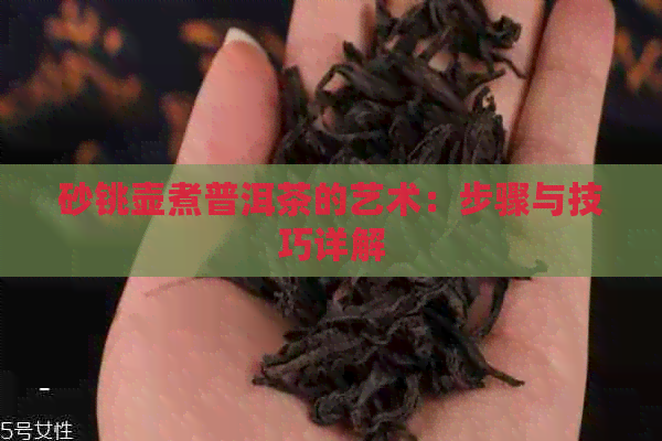 砂铫壶煮普洱茶的艺术：步骤与技巧详解