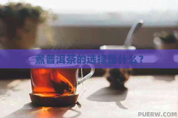 煮普洱茶的选择是什么？