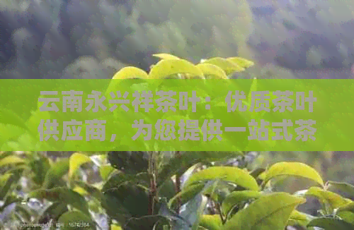 云南永兴祥茶叶：优质茶叶供应商，为您提供一站式茶叶解决方案