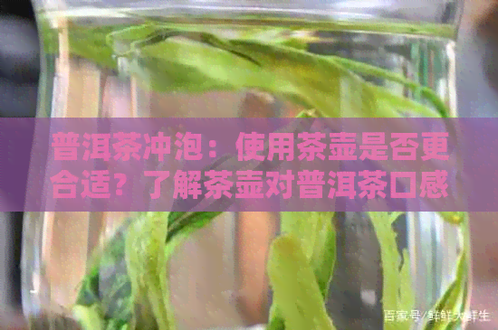 普洱茶冲泡：使用茶壶是否更合适？了解茶壶对普洱茶口感的影响及选择建议