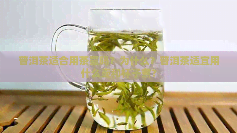 普洱茶适合用茶壶吗？为什么？普洱茶适宜用什么壶和杯子煮？